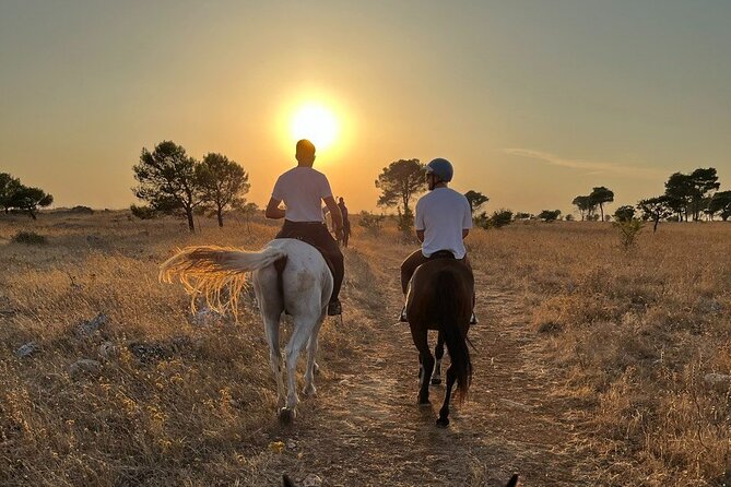 Matera: Sunset Horse Backriding Tour on Murgia Park - Good To Know