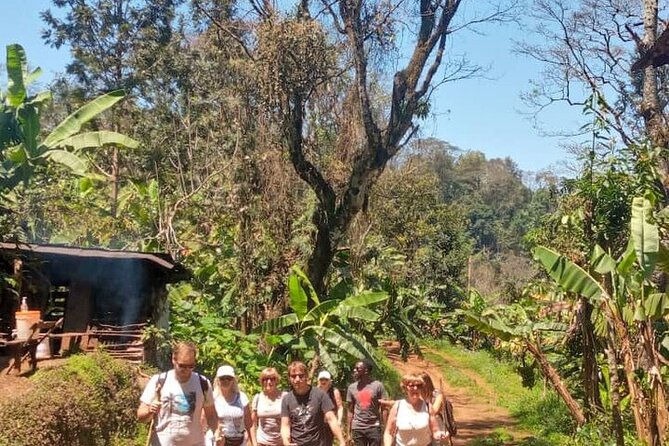 Materuni Waterfalls, Kikuletwa Chemka Hot Springs, Coffee Tour - Customer Reviews