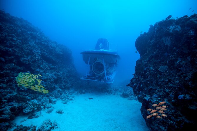 Mauritius Unique Submarine Tour