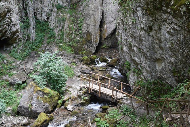 Mavrovo Tour From Ohrid - Tour Inclusions