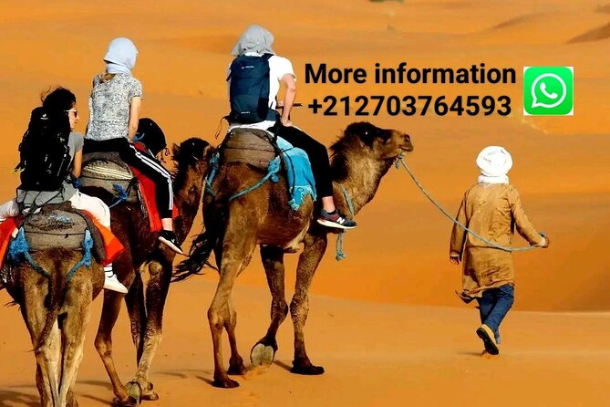 Merzouga Camel Riding & Overnight Stay in Luxury Camp