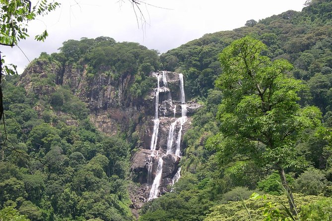 Mikumi National Park to Udzungwa Mountain National Park Tour 2 Days 1 Night - Good To Know