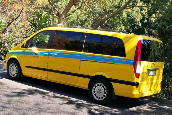 Minibus Transfer: Funchal - Madeira Airport - Good To Know