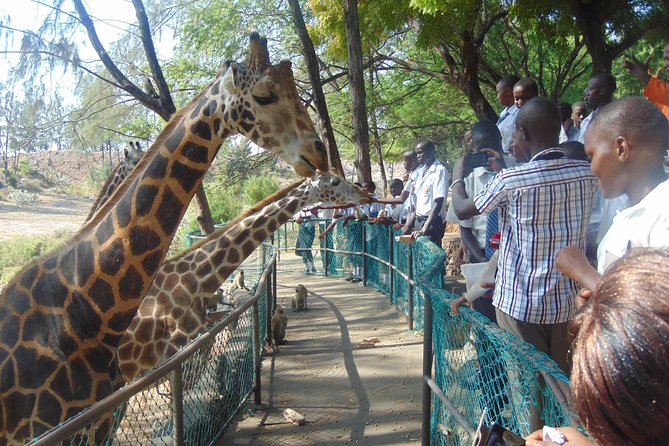Mombasa Private City Tour & Haller Park Sanctuary With Sea Food Luch - Booking Information