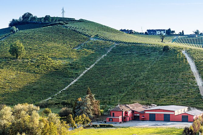 Monferrato (Asti Province): Barbera Wine Tasting Experience - Good To Know