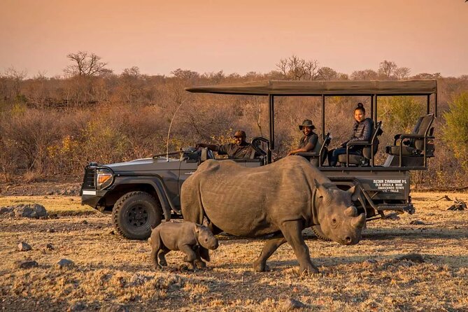 Morning or Afternoon Game Drive In Victoria Falls - Good To Know