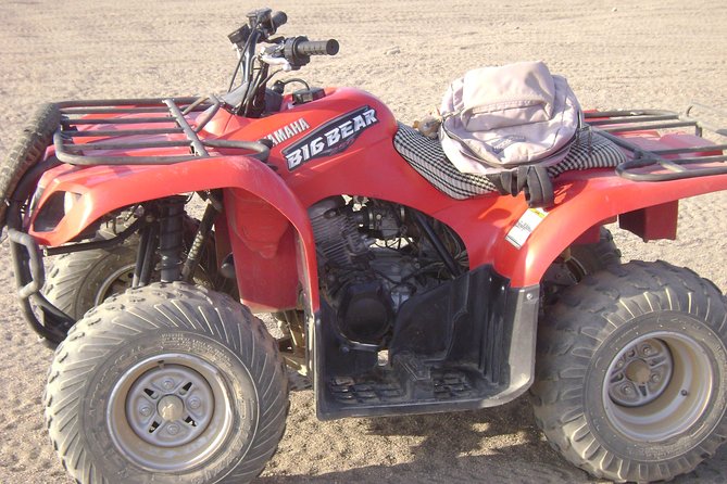 Morning Quad Bike Bedouin Village