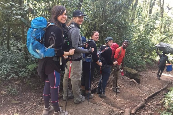 Mount Kilimanjaro Day Hike - Good To Know