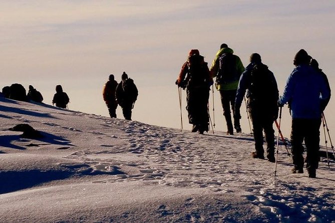 Mount Kilimanjaro-Lemosho Route 8 Days Trekking - Trekking Route Overview