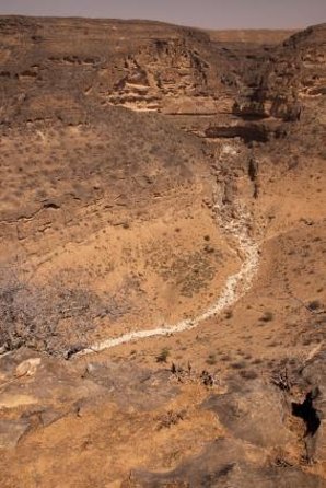 Mountain Safari 4 Hours East Salalah Tour - Wadi Darbat, Sumharam