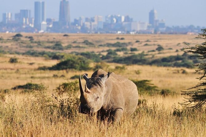Nairobi National Park, Baby Elephant Orphanage and Giraffe Center - Good To Know