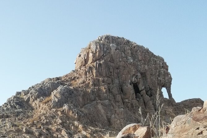 NDJAMENA the Elephant-Dandi Rock and Doughia Tourist Resort - Good To Know