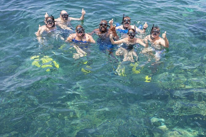 Ocean Safari Tour - Cancellation Policy
