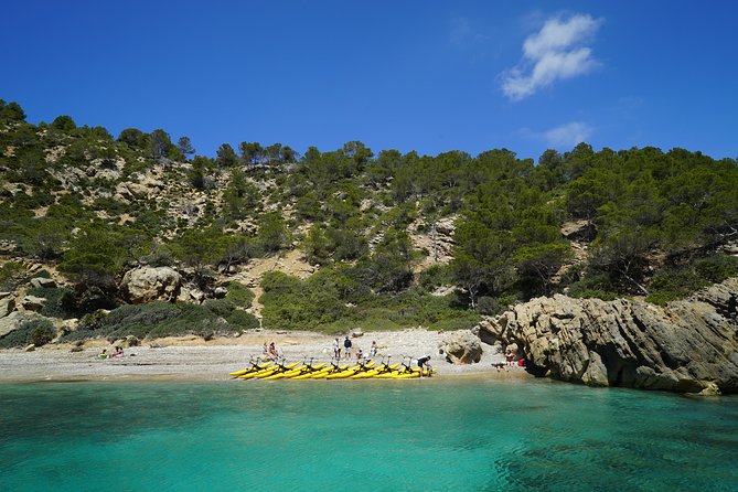 Oceanbike Beach Tour - Good To Know