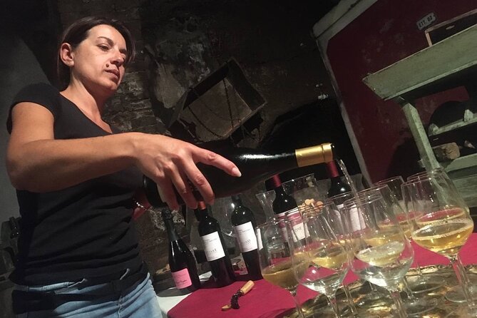 Olive Mill and Winery Experience at Castiglione in Teverina - Experience Details