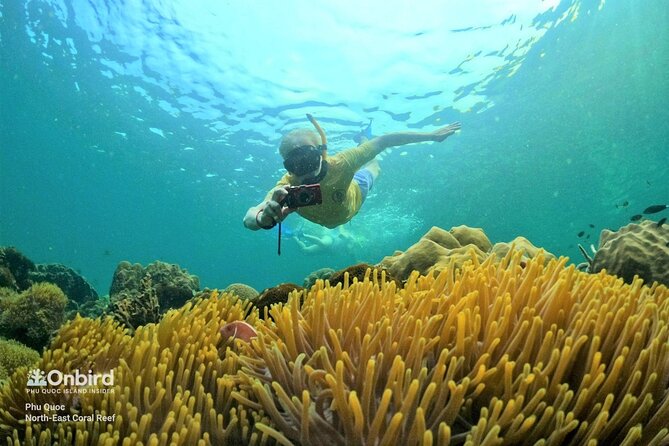 Onbird - PRIVATE ADVENTURE SNORKELING - Explore Half-Moon Reef & Coral Mountain - Good To Know