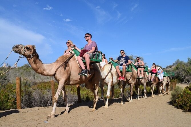 One Day : Agadir Camel Ride + Paradis Valley Trip & Breakfast - Good To Know