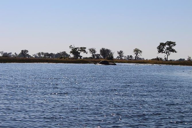 One Day Okavango Delta Boat Safari - Good To Know