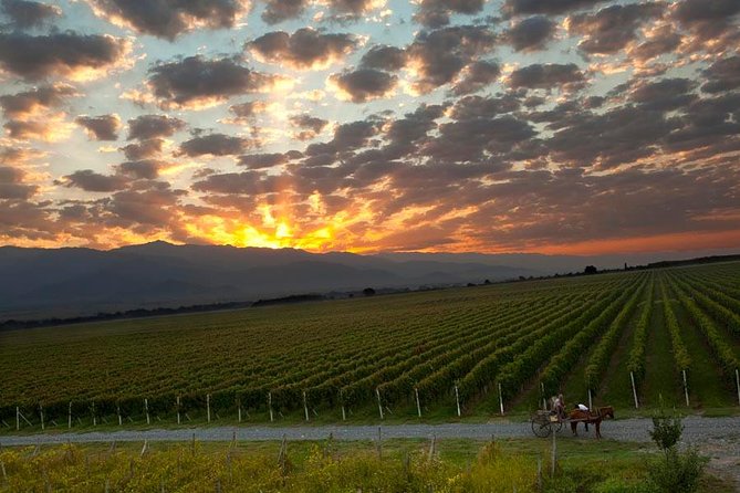 One-Day Trip to Kakheti (Wine Tour) - Good To Know