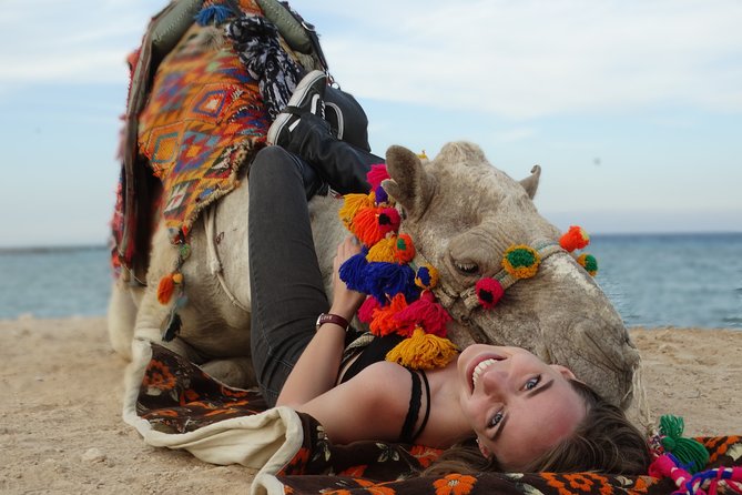 One Hour Camel Ride at Amazing Marsa Alam Desert With Transfer - Marsa Alam - Good To Know