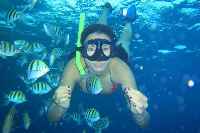 Orange Bay Island Snorkeling Trip With Parasailing - Good To Know