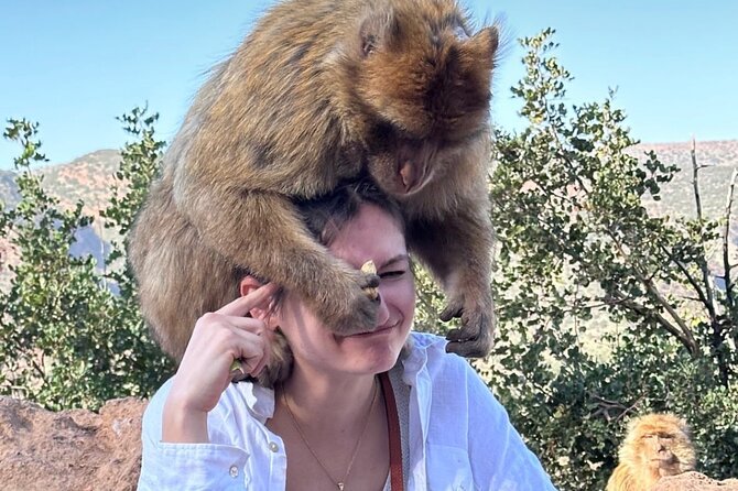 Ouzoud Waterfalls: Full Day Trip From Marrakech - Meeting and Pickup