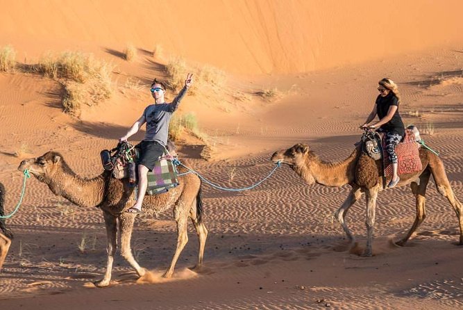 Overnight In The Desert From Fez To Marrakech ( Luxury ) - Good To Know