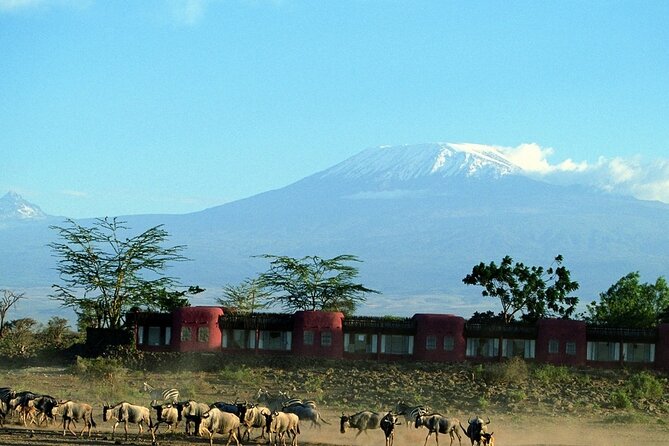 Overnight Tour in Amboseli National Park From Nairobi - Good To Know