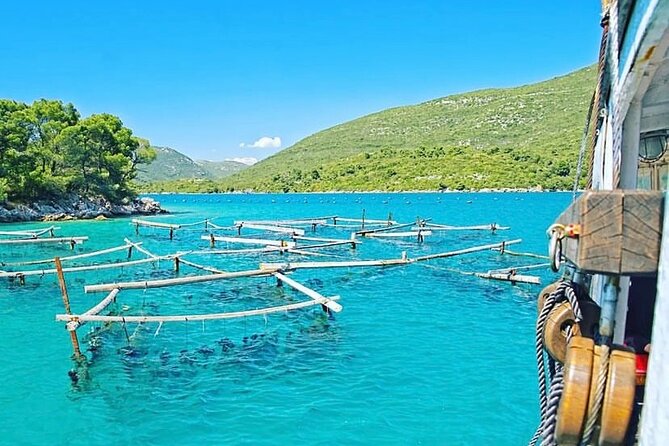 Oyster Farm Experience Private Day Trip From Dubrovnik - Good To Know