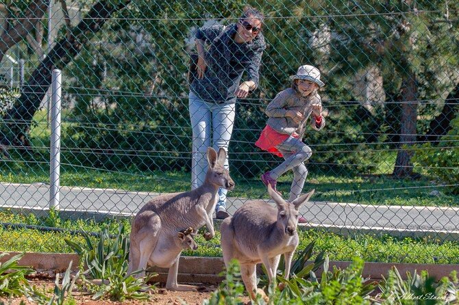 Pafos Zoo Visit & Blue Lagoon Cruise With Local Guide Limassol - Good To Know