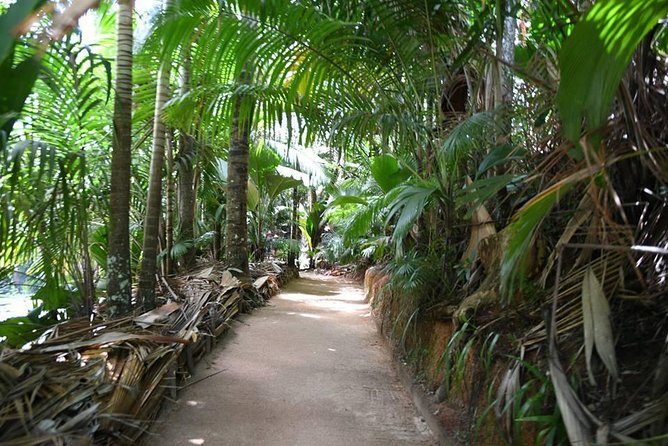 Palms and Pearls Full Day Tour - Good To Know