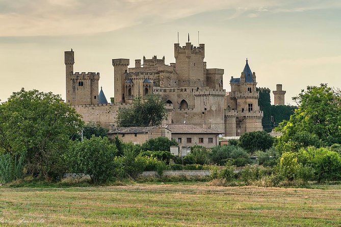 Pamplona and Olite Royal Palace Guided Small Group Tour, Lunch Included - Good To Know