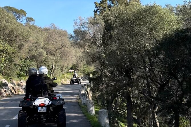 Panoramic Electric Quad Bike Ride From Nice - Accessibility Information