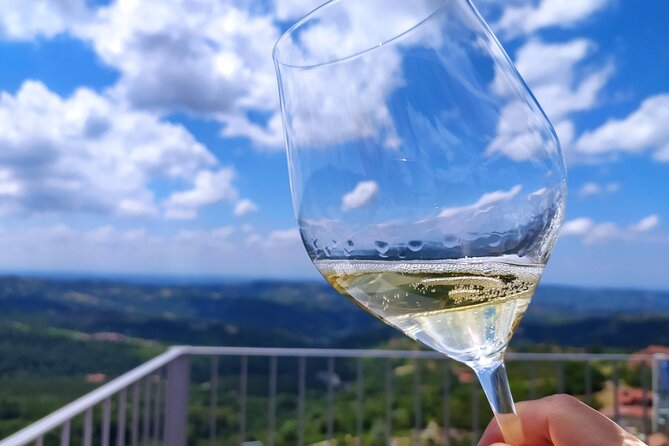 Panoramic Sightseeing Tour With Aperitif - Good To Know