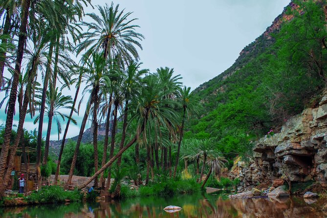 Paradise Valley Trip From Agadir - Good To Know