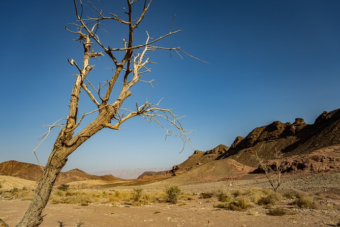 Park Timna: Small Group Photo Tour - Tour Inclusions