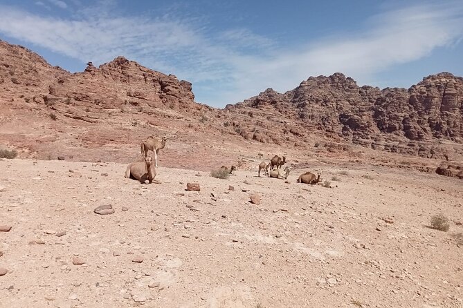 Petra Back-Road Trail and Hike - Good To Know