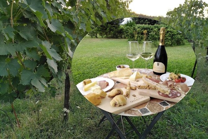 Pic Nic in the Vineyard of PODERE CASANOVA - Location: Montepulciano, Italy