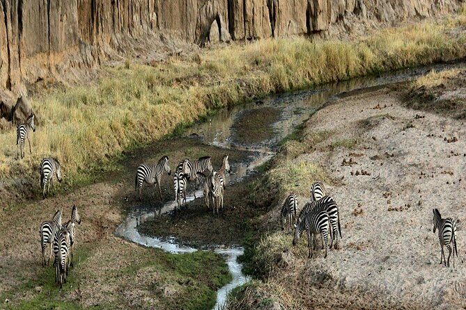 Pleasurable Tanzania Joining Safari 1, 2 ,3 ,4 ,5 and 6 Days