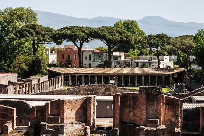 Pompeii & Bosco De Medici Winery Skip the Line From Sorrento - Good To Know