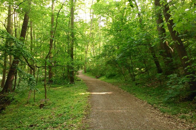 Prague Nature Highlights PRIVATE E-Bike Tour - Good To Know