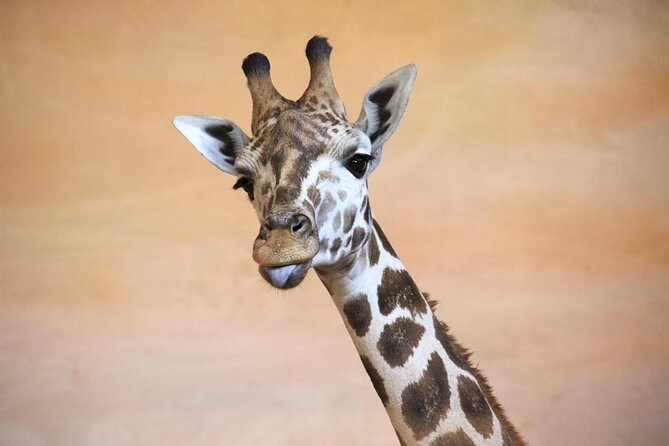 Prague Zoo Ticket With Online Audio Guide - Good To Know