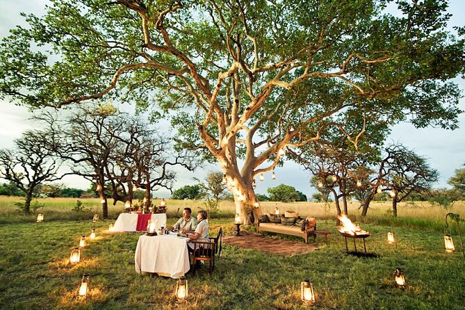 Private 7 Days Classic Safari Tour in Tanzania - Pickup and Meeting