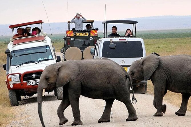 Private Amboseli Overnight Tour - Good To Know