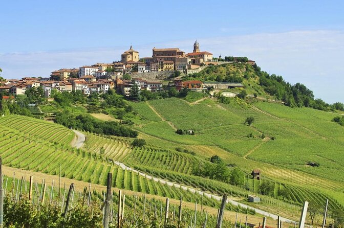 Private and Guided Day at the Barolo Cellars in Piedmont - Good To Know