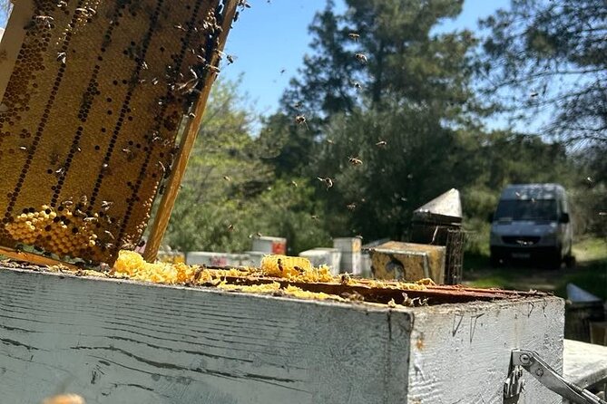 Private Areti Honey Experience - Experience Details