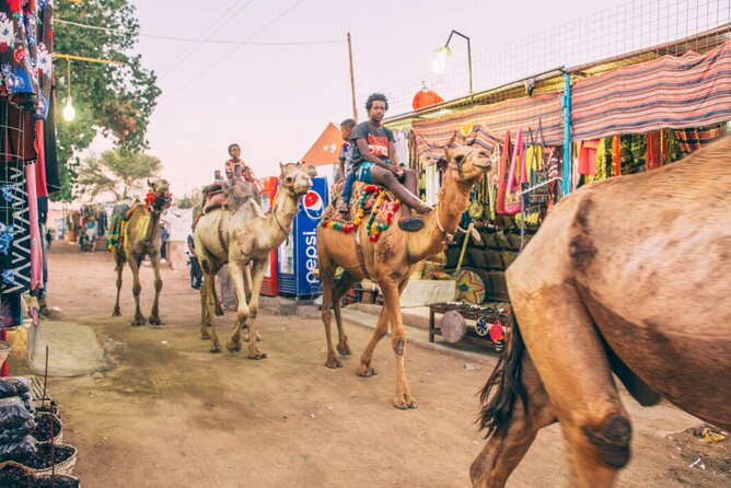 Private Aswan Camel Riding Adventure - Good To Know