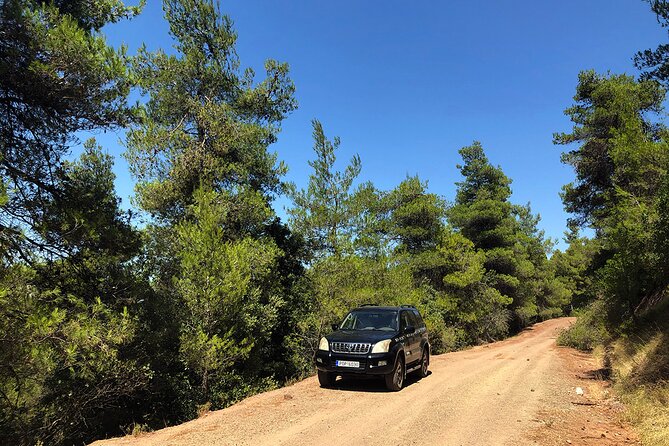 Private Athens Escape in Parnitha Mountain Park - Good To Know