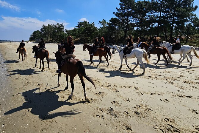 Private Bachelorette Party With Horseback Riding on the Beach - Location Details