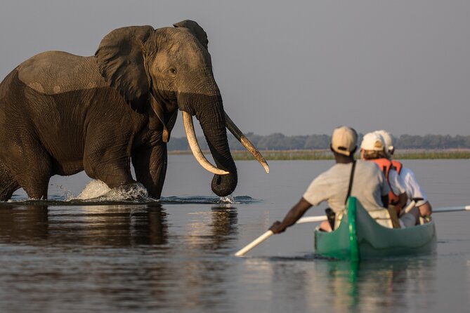 Private Canoeing, Cycling, Coffee and Hiking Tour in Lake Duluti. - Good To Know